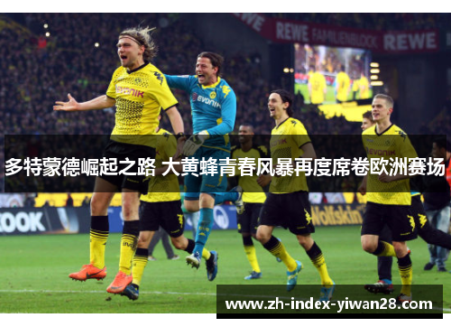 多特蒙德崛起之路 大黄蜂青春风暴再度席卷欧洲赛场