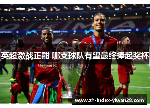 英超激战正酣 哪支球队有望最终捧起奖杯